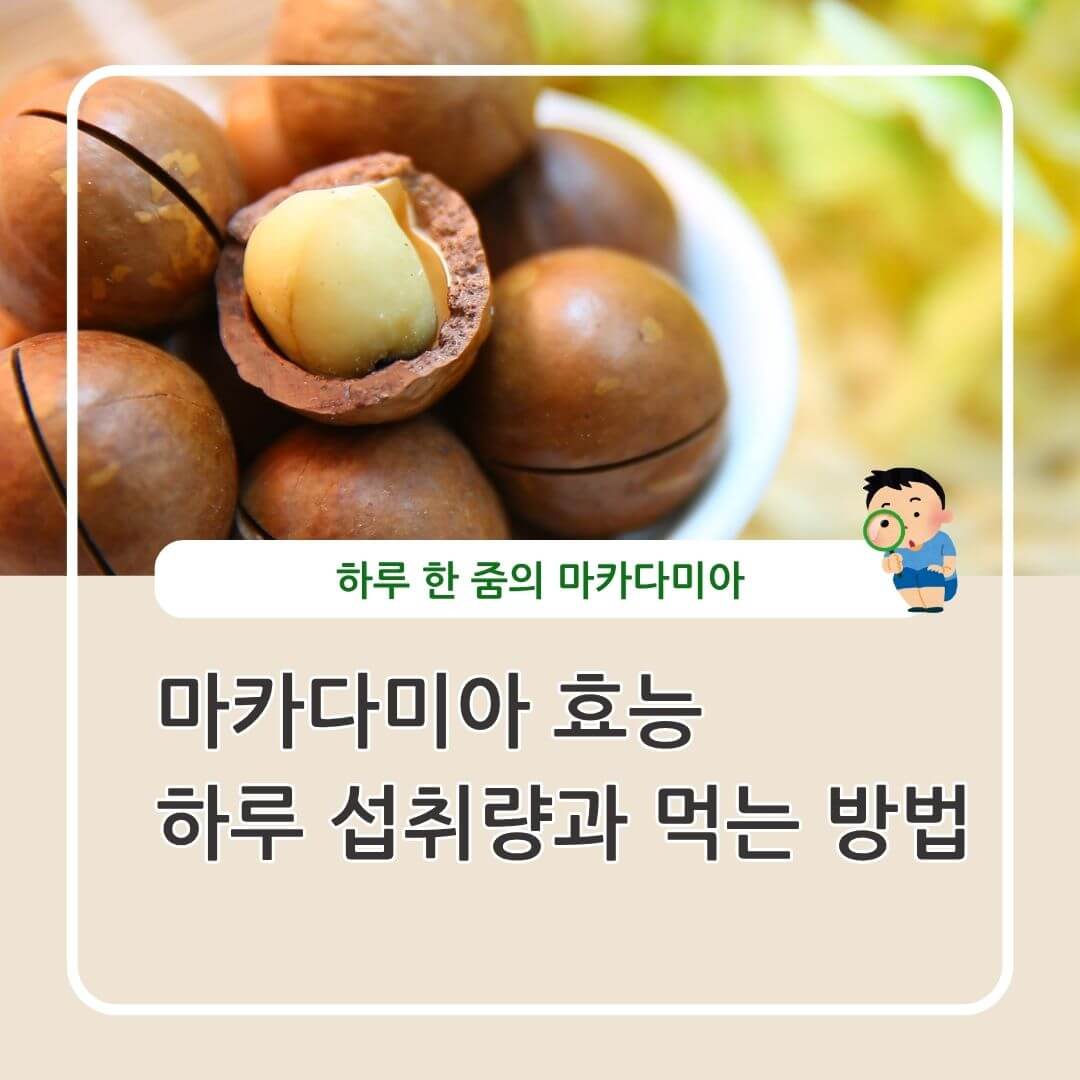 마카다미아 효능, 하루 섭취량