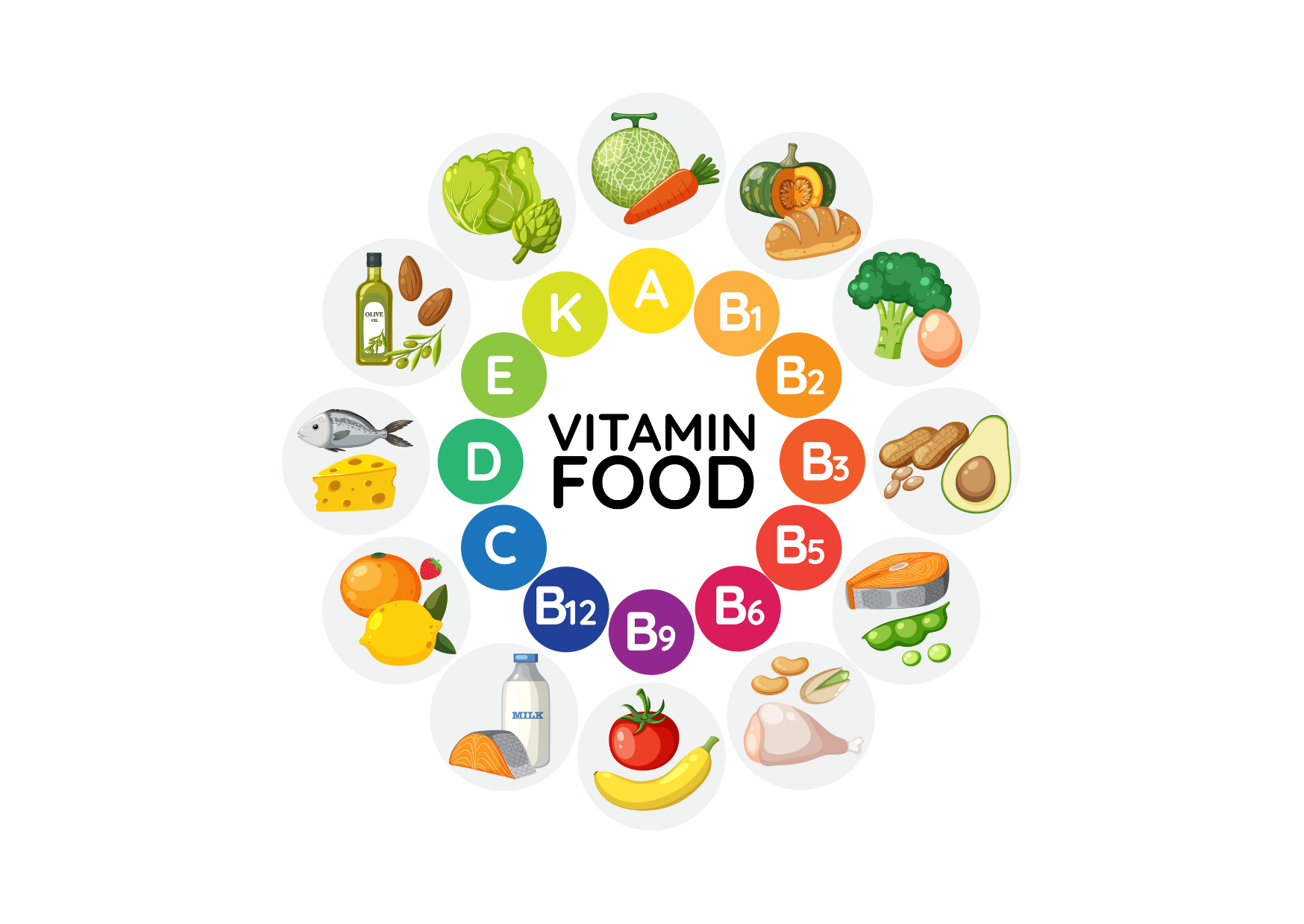 중년 호르몬 균형과 음식