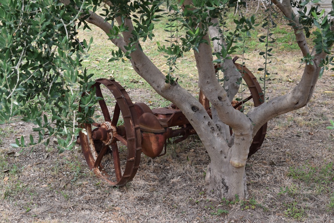Used