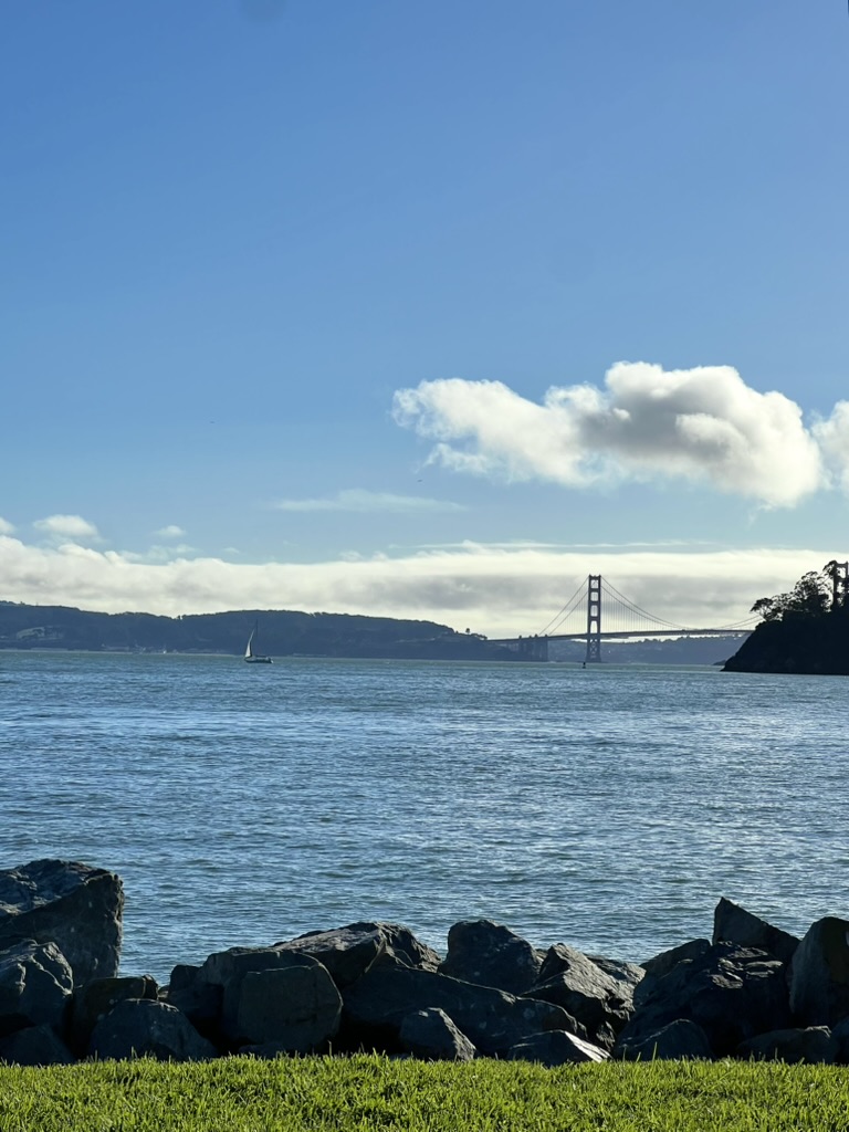 Shoreline Park 금문교뷰