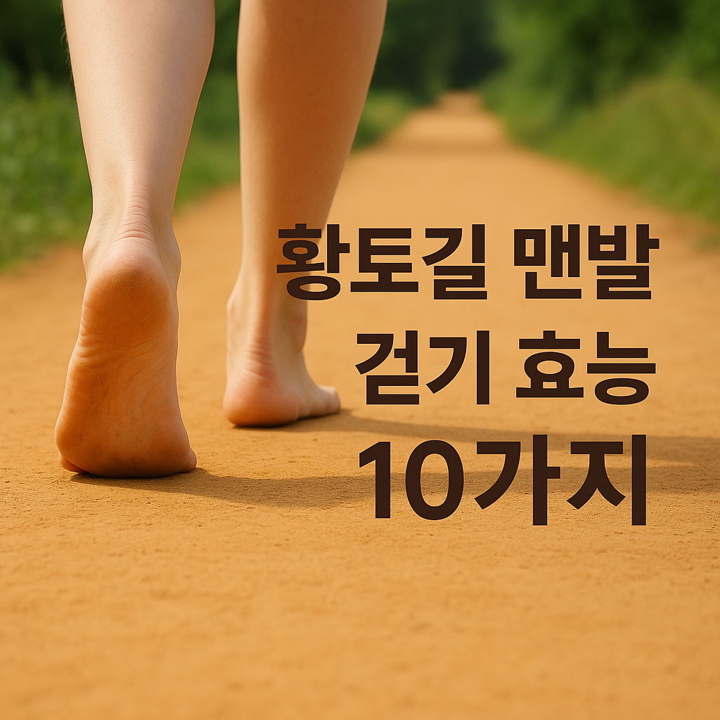 황토길 맨발 걷기 효능 10가지 혈액순환부터 면역력까지 변화