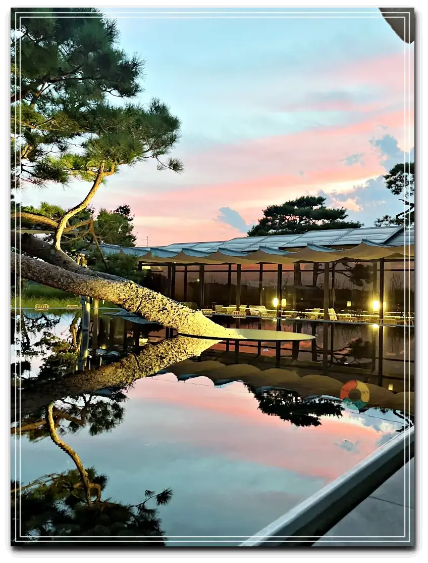 엔드투앤드_노을3-서서히붉어지는하늘-소나무-물에-비친-노을그림자-소나무그림자-파란색과붉은하늘대조