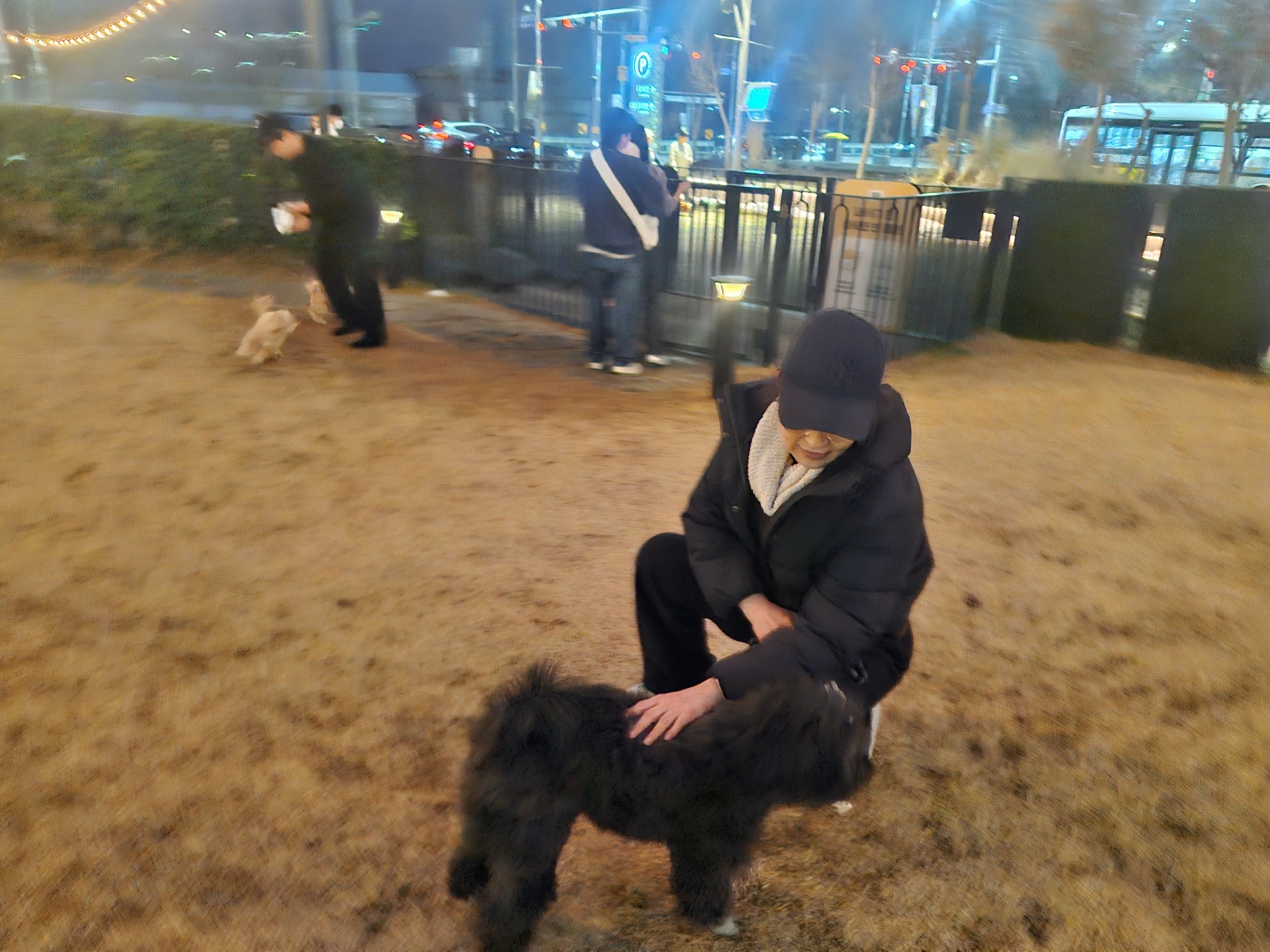 강아지&amp;#44; 왜 회식을 선택해야 할까? 모르면 강아지 아파요