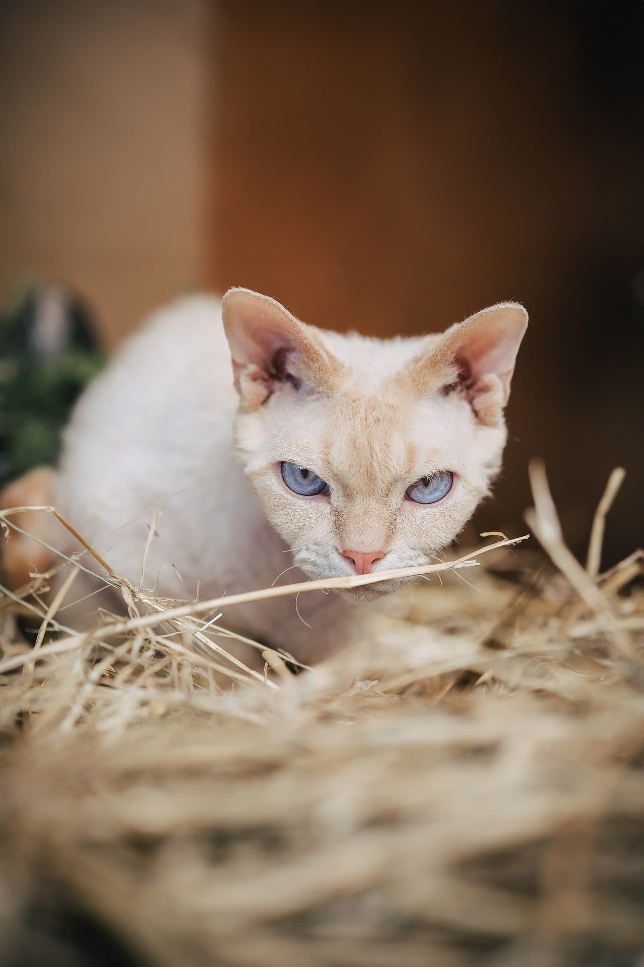 “장 건강이 무너지면 얼굴이 늙는다”