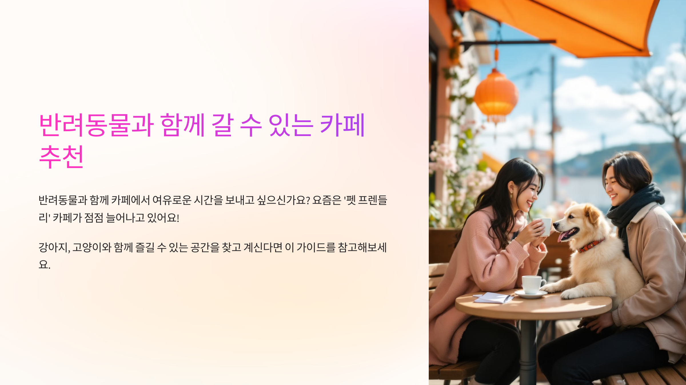 반려동물과 함께 갈 수 있는 카페 추천!