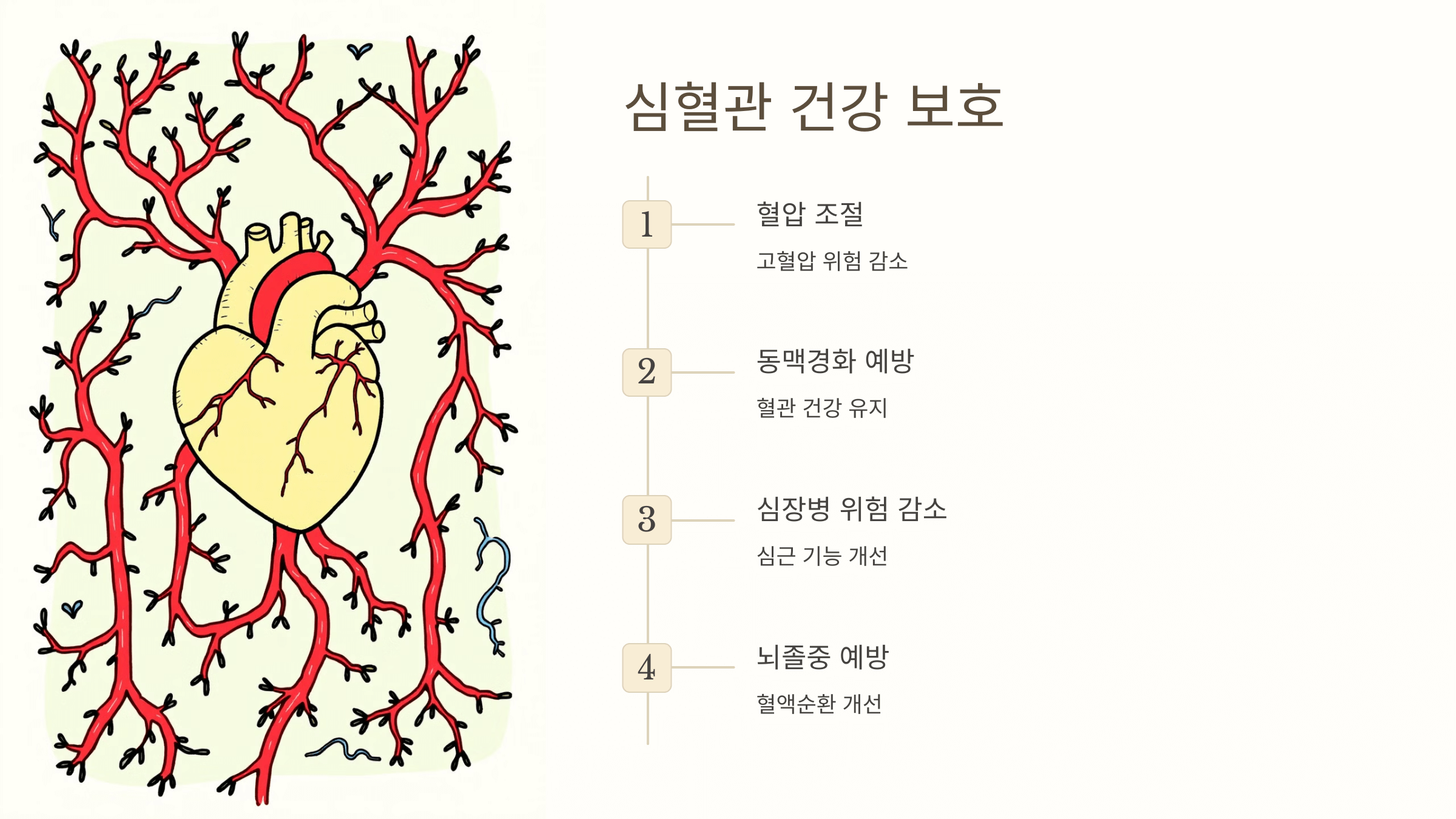 비타민D와 관련된 사진입니다.