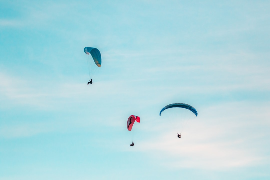 Flight