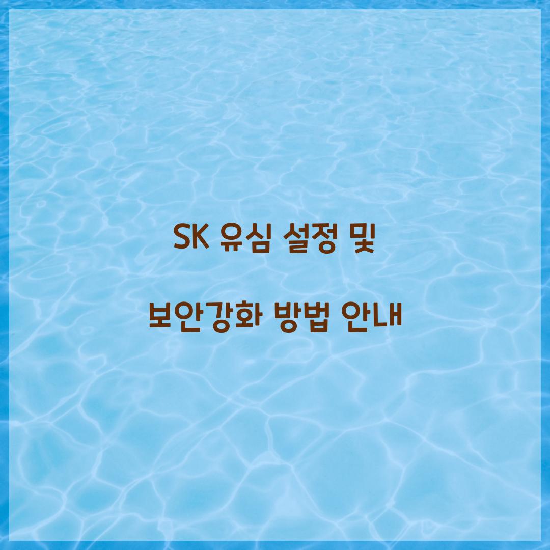 SK 유심 설정