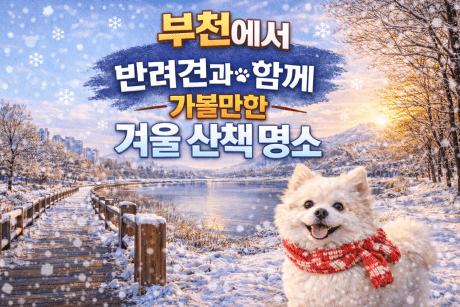 부천 반려견 겨울 나들이 명소, 강아지와 함께 걷기 좋은 산책 코스