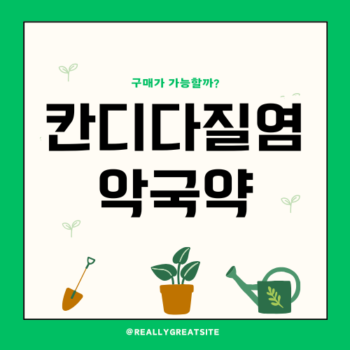 칸디다 질염 약국 약 완벽 가이드: 증상부터 치료제까지