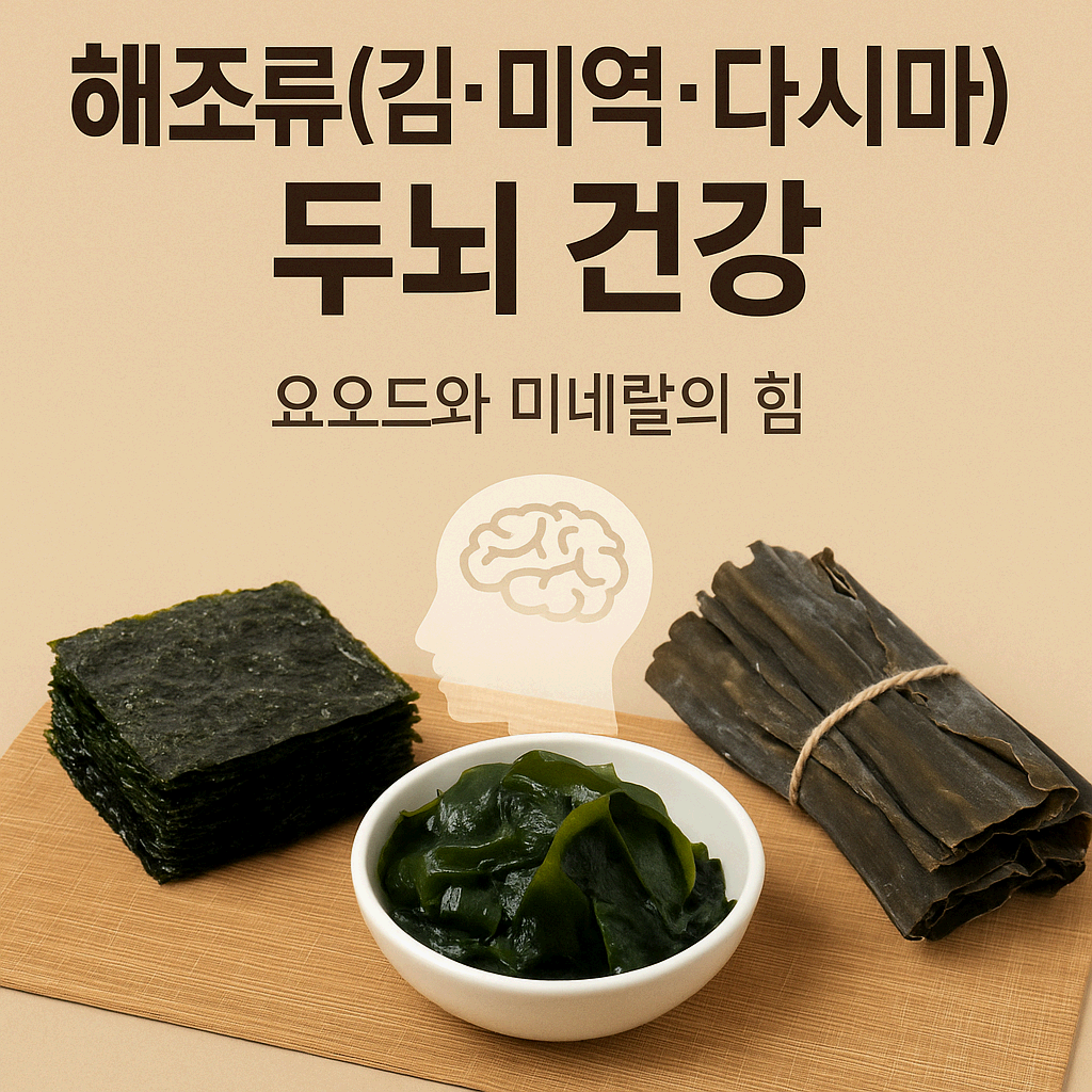 해조류(김&middot;미역&middot;다시마)와 두뇌 건강: 요오드와 미네랄의 힘