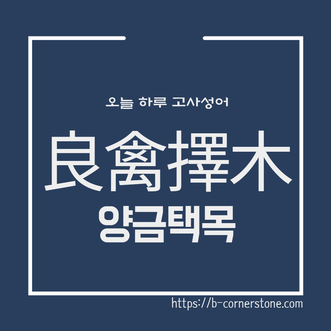 고사성어 문해력 공자 공문자 양금택목 良禽擇木