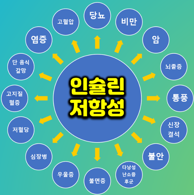 인슐린 저항성의 문제점