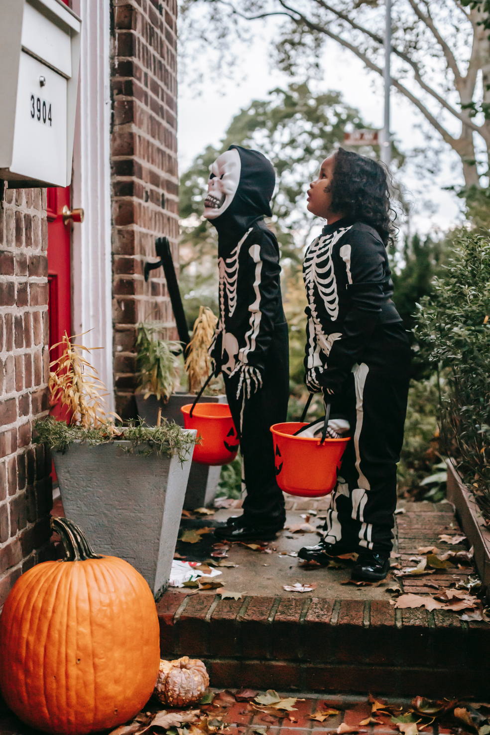 장난이냐 과자냐(Trick or Treat 트릭 오어 트릿)