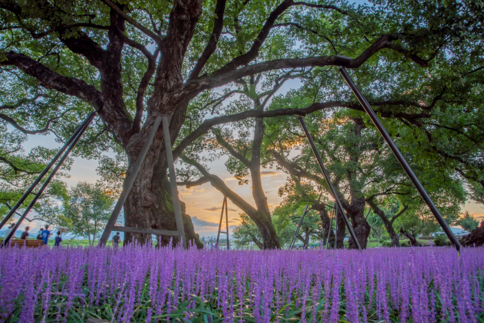 성주 가볼만한곳 베스트10