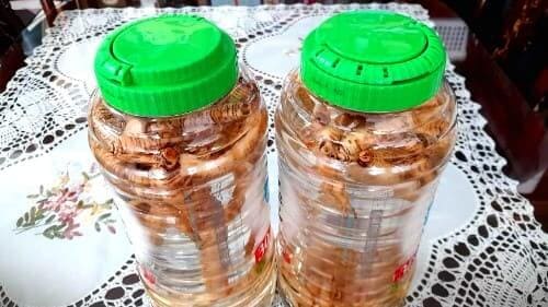 더덕주-담그기-더덕-담금주-담그는법-효능