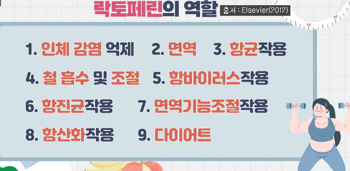 락토페린