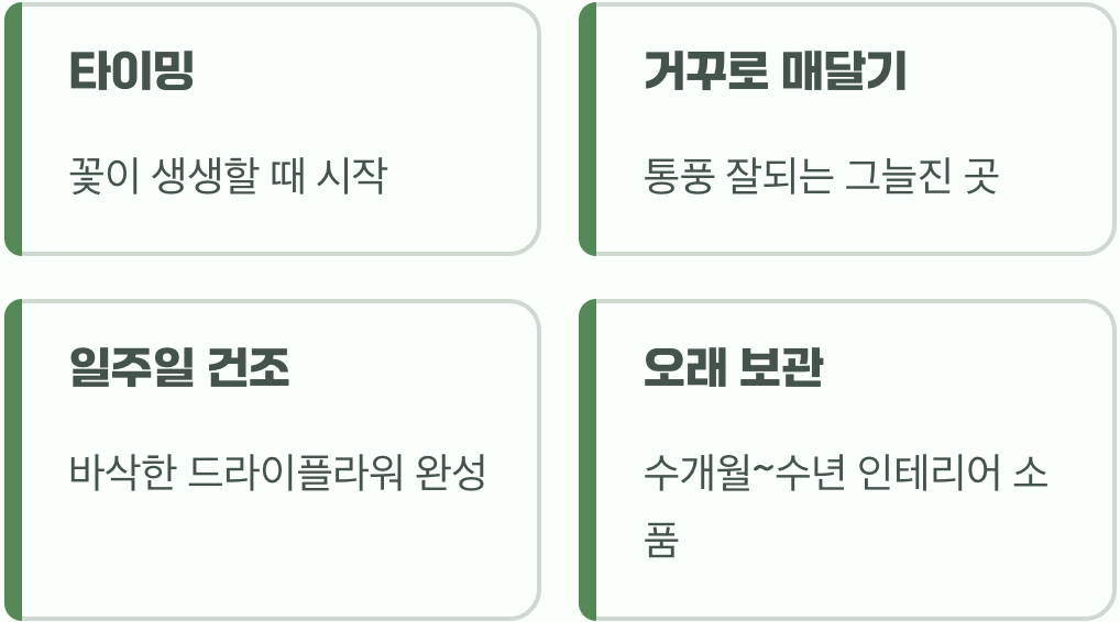 생화의 끝, 드라이플라워의 시작