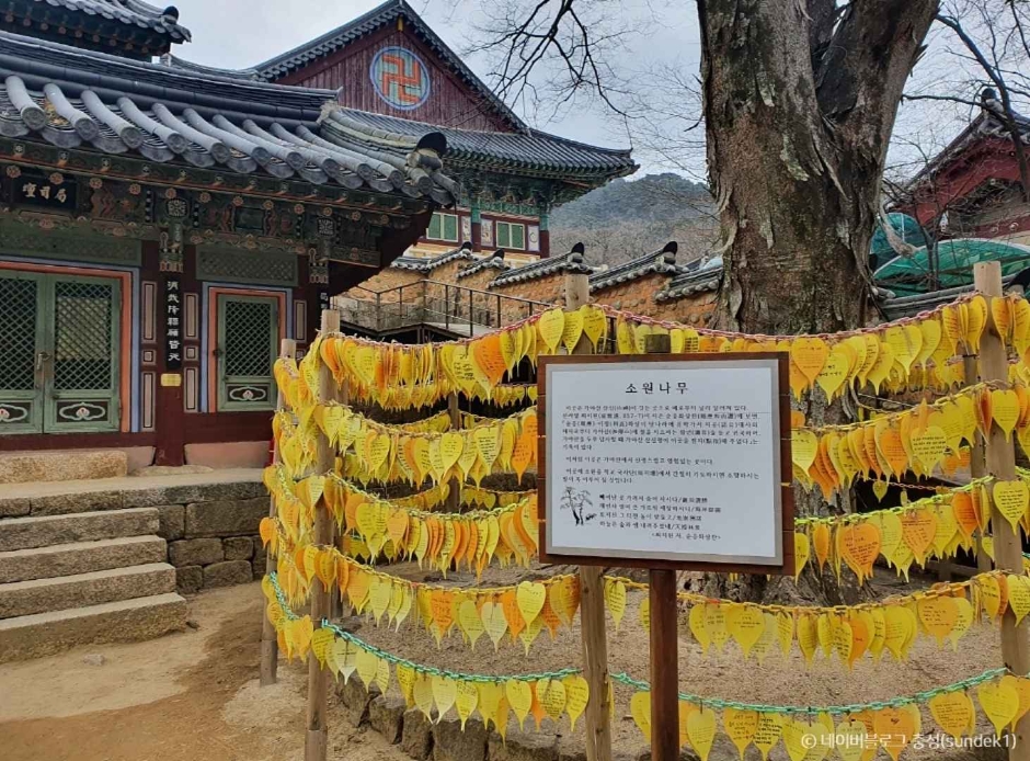 합천 가볼만한곳 베스트10