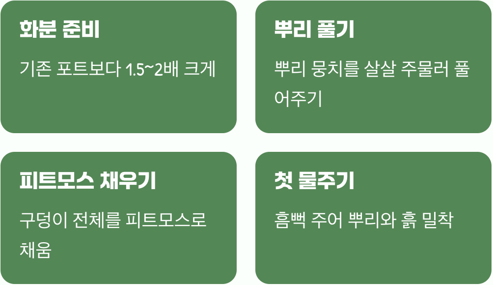 새 보금자리, 올바르게 심는 방법