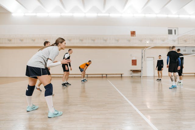 배구 경기 네트 전위 후위