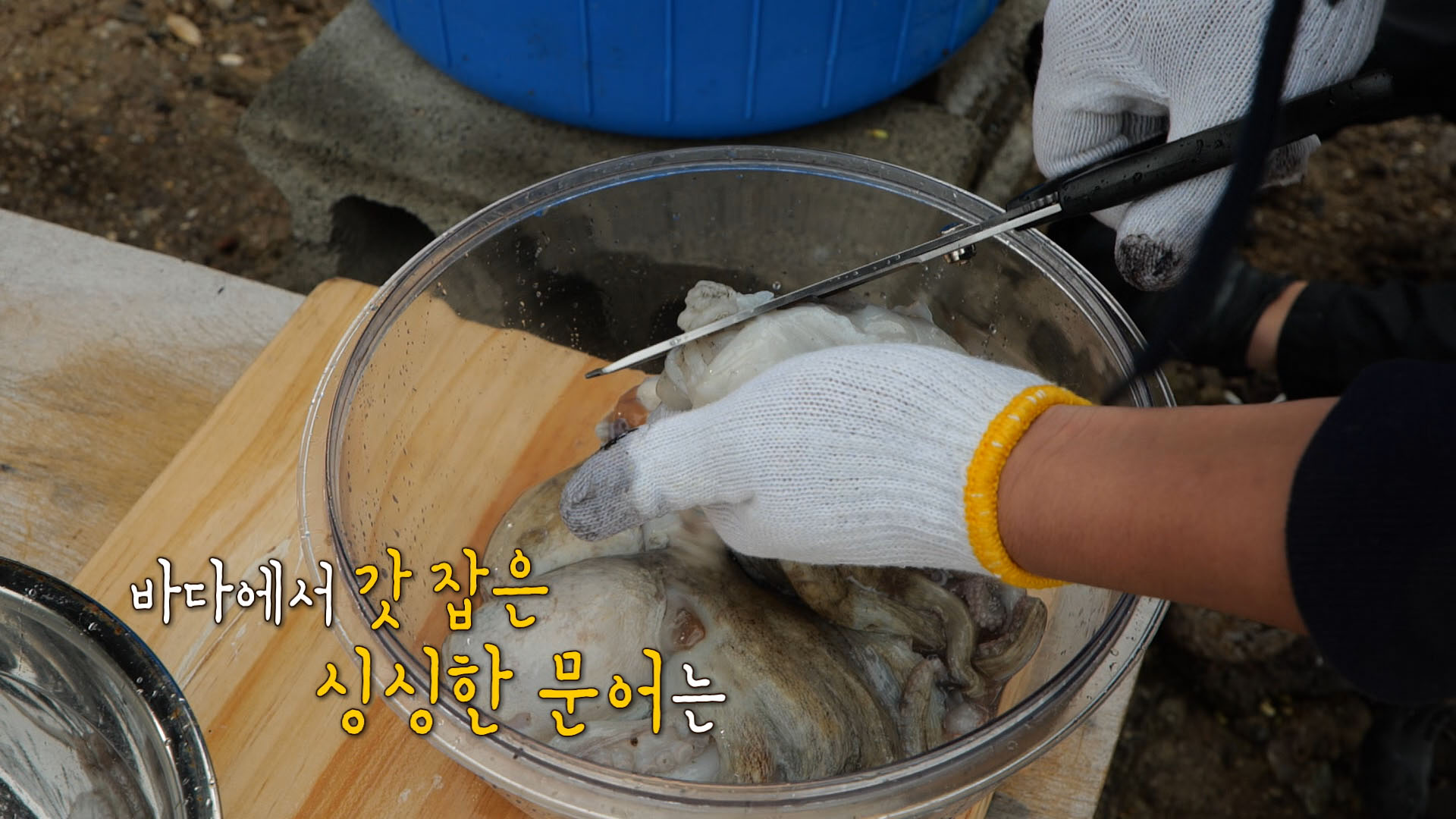 푹쉬면다행이야