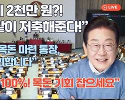 청년도약계좌 대체! 3년 만기 '청년미래적금' 2026년 출시 전격 분석! (최대 16.9% 수익률)