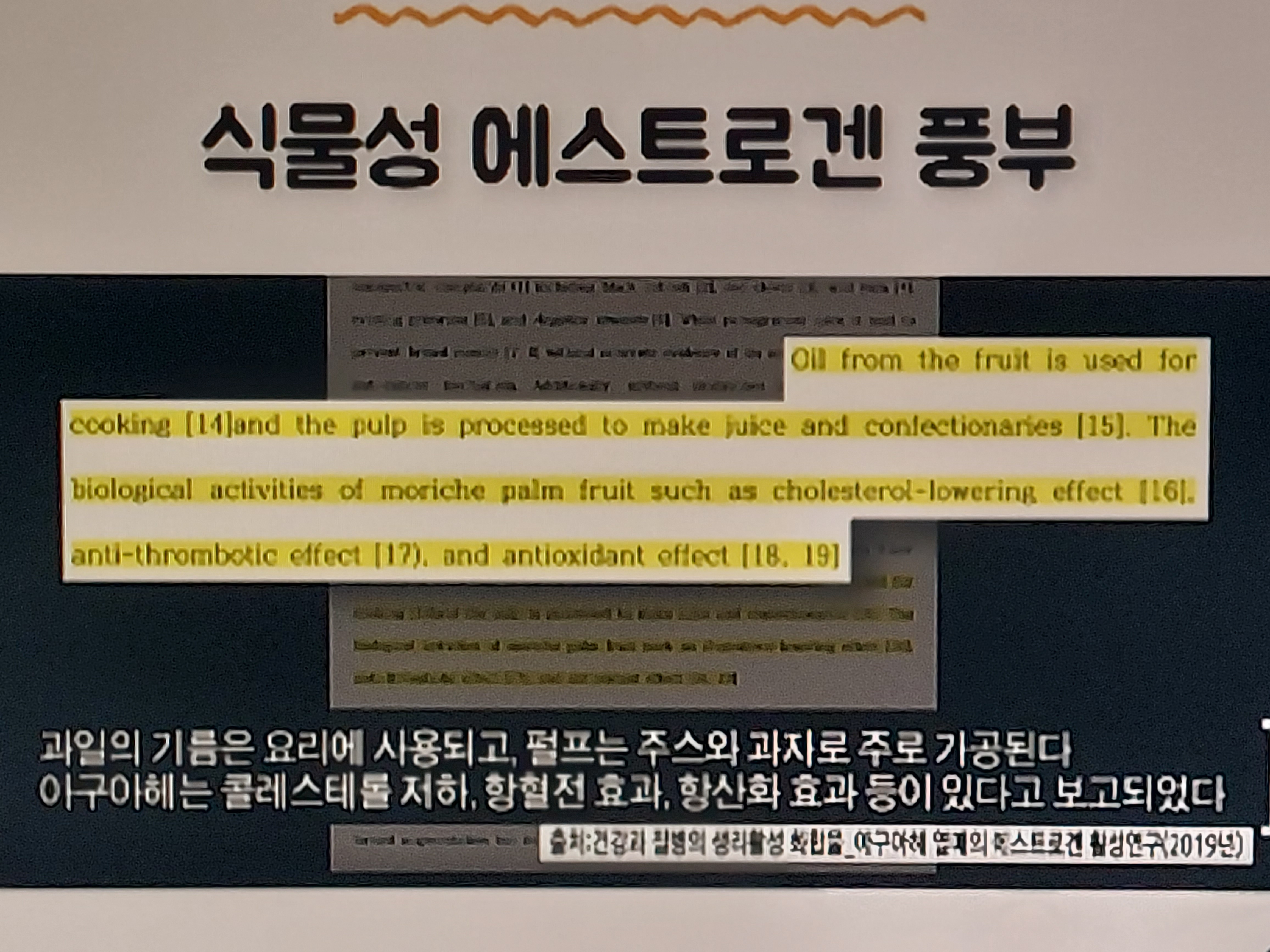 아구아헤 효능