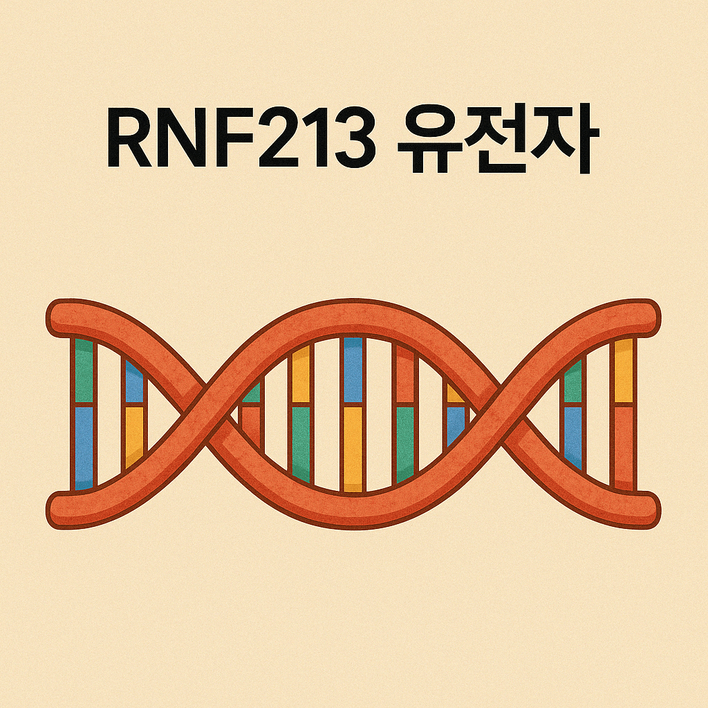 모야모야병 증상 원인 유전 치료법|산정특례 등록