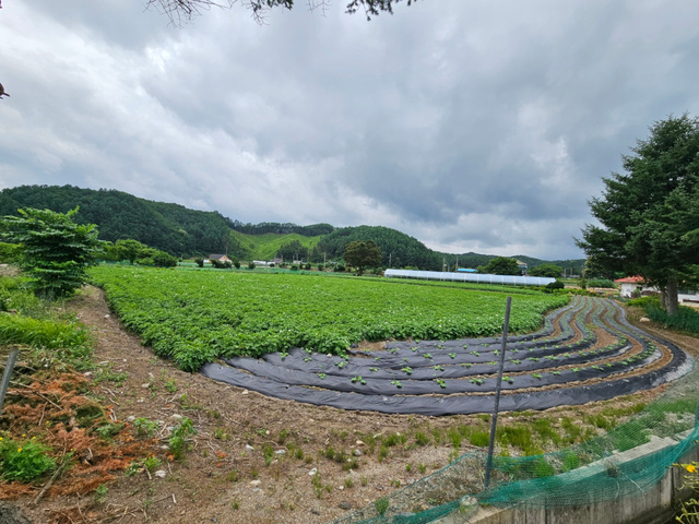 정은경 남편 토지직불금 논란