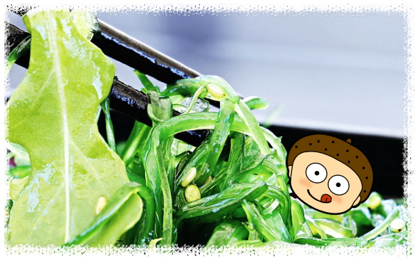 바다에서 온 신장 친구 해조류