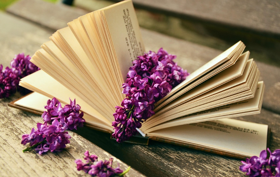 일상을 풍요롭게 하는 독서 습관, 책과 함께하는 하루