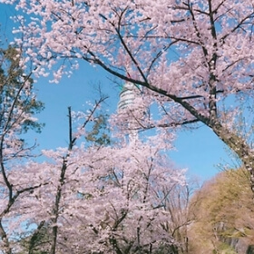 4월 봄꽃 축제 일정 (서울/인천/경기도)