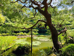 교토 여행 추천 헤이안 신궁
