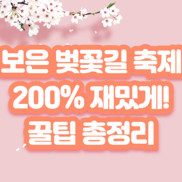 보은 벚꽃길 축제