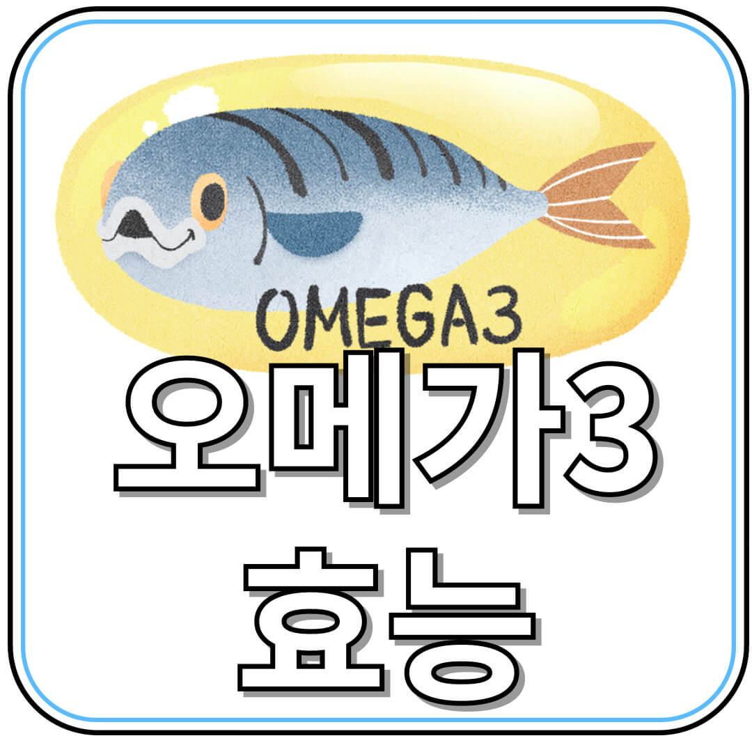 오메가3 효능 완전 분석! 건강을 지키는 5가지 이유