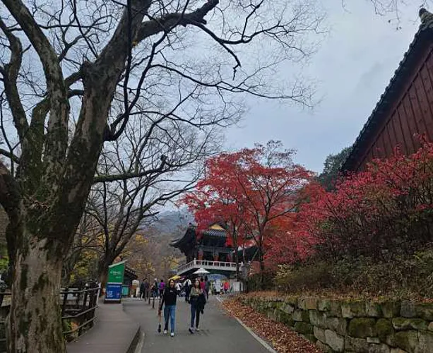 계룡산식당