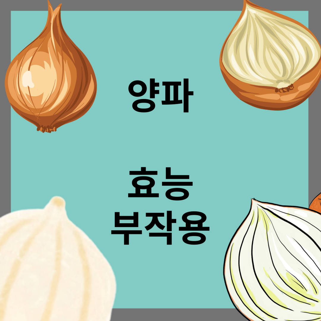 양파의 효능과 부작용