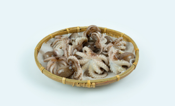 쭈꾸미-봄철해산물