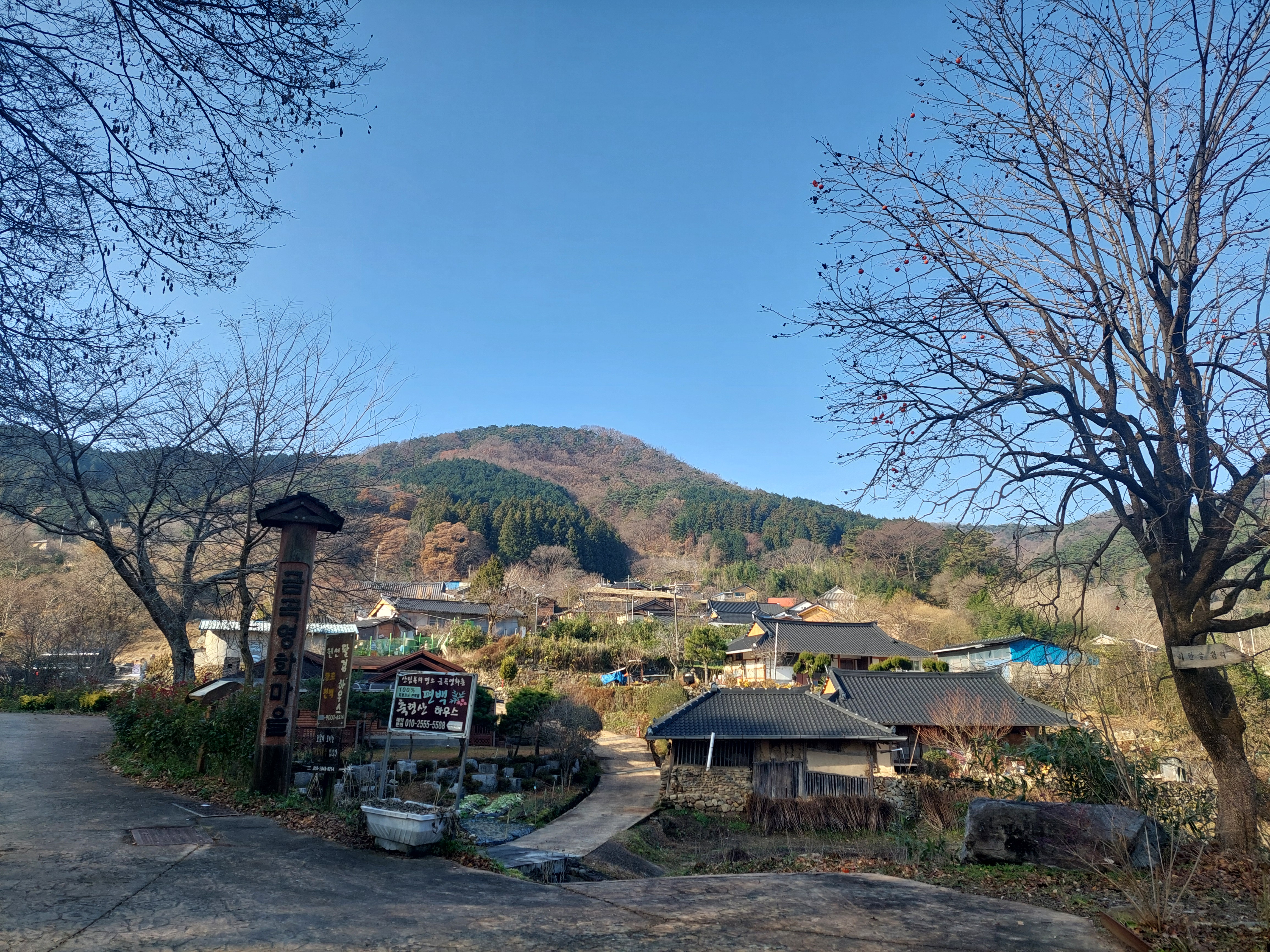 축령산