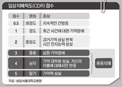 치매보험-임상치매척도(CDR)
