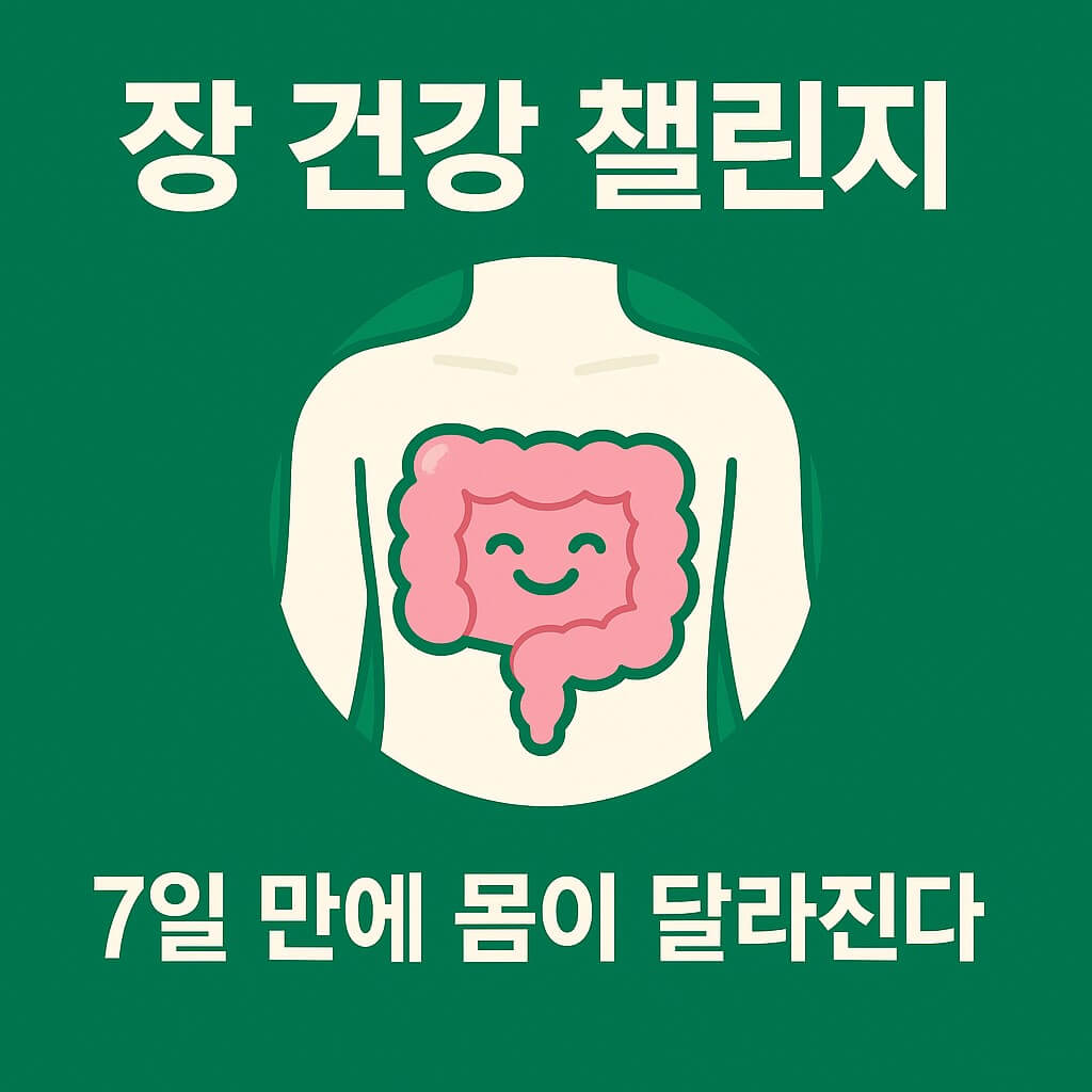장 건강 챌린지! 7일 만에 몸이 달라진다