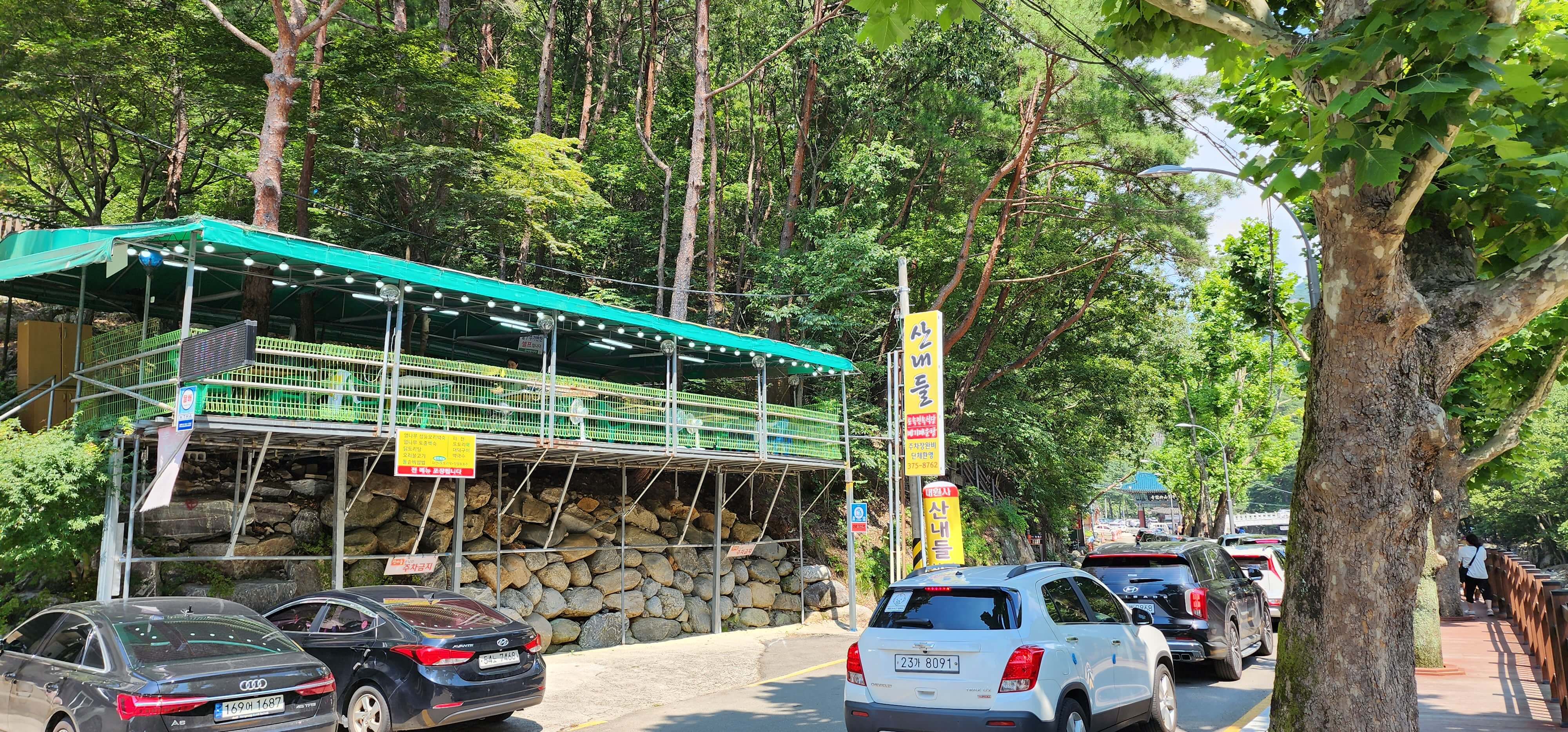 내원사계곡 산내들2