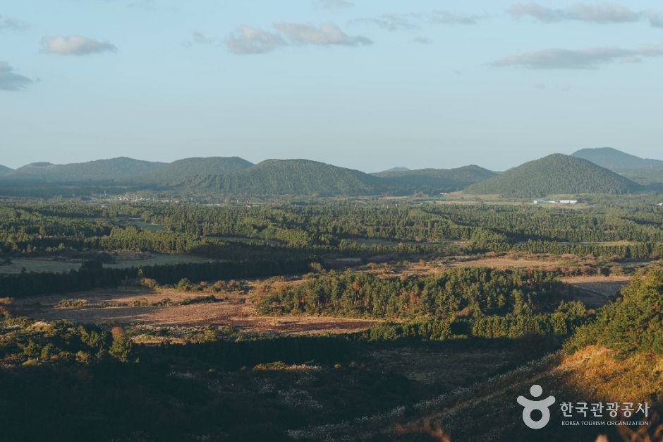 40대 혼자 가기 좋은 여행 추천 베스트 7