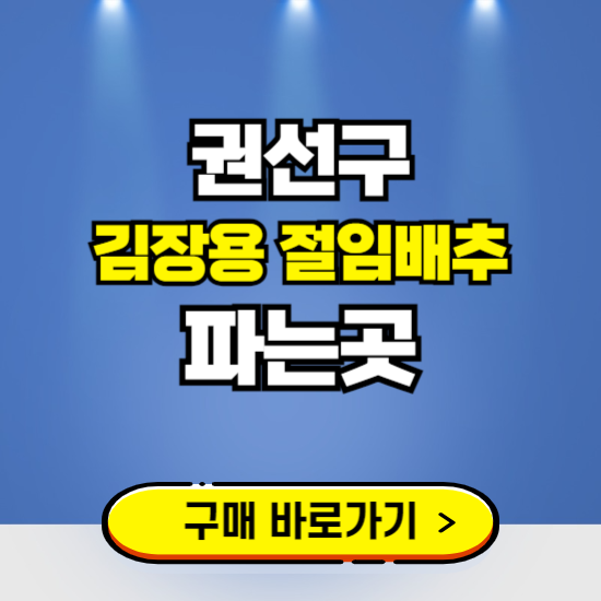 권선구 절임배추 사전예약 구입하는곳 ❘ 김장배추 파는곳 가격보기