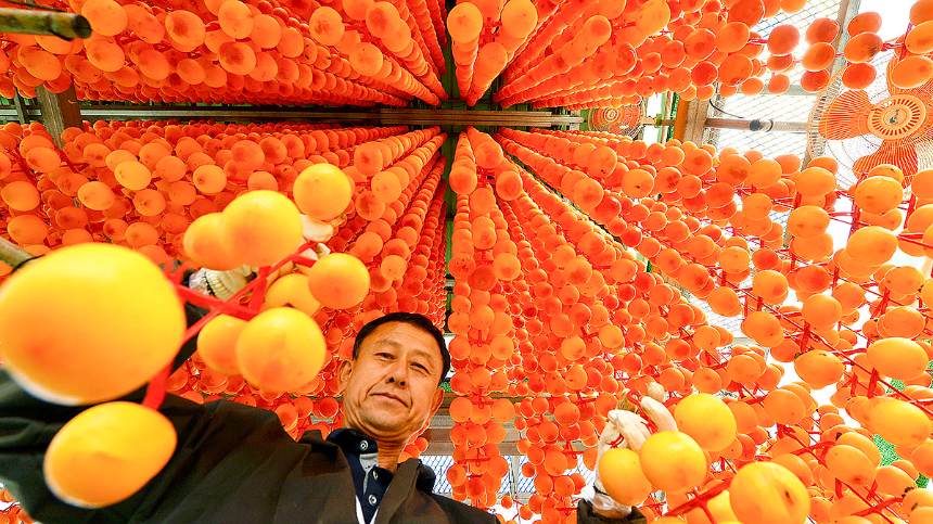 계절의 변화를 세분화한 24 절기 중 '상강' 이해하기