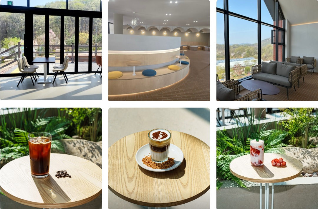 용인 자작나무숲 가을꽃축제