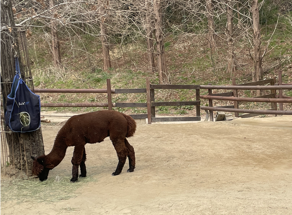 에버랜드 로스트밸리