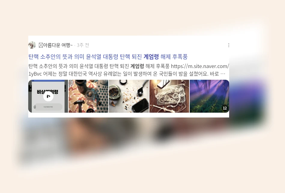 계엄령_2_subsection
