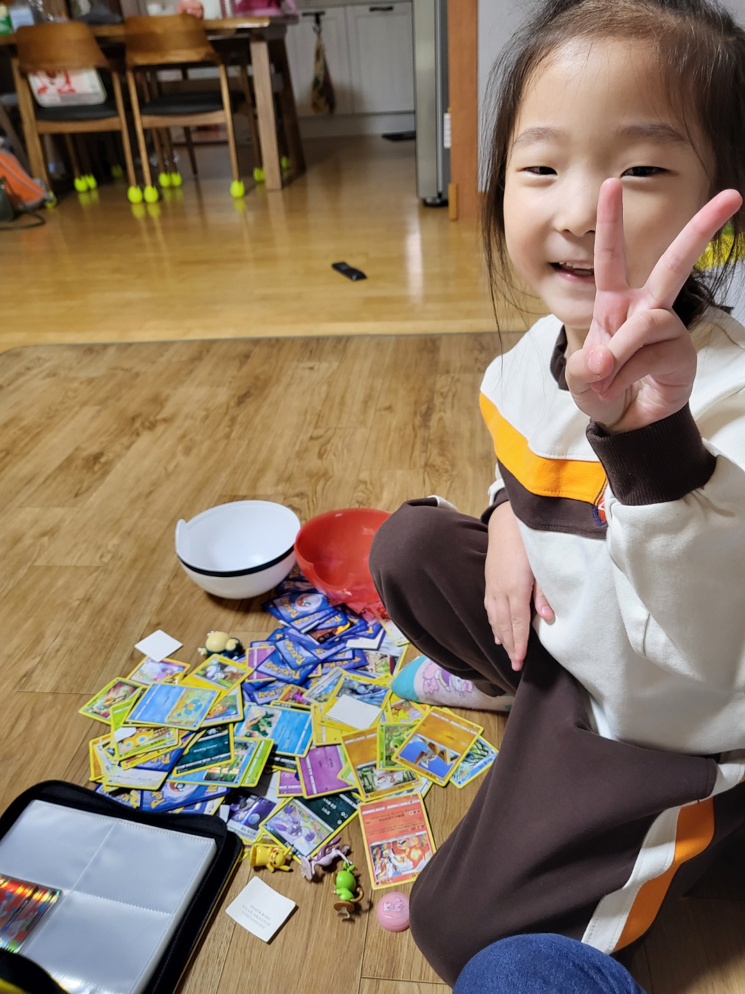 포켓몬 카드집(포켓몬 카드 앨범)